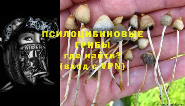 apvp Липки