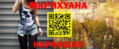 крисы Будённовск