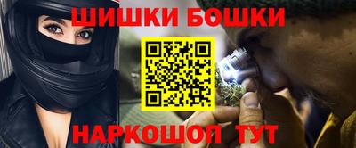 крисы Будённовск