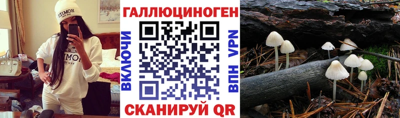 Галлюциногенные грибы Psilocybine cubensis  ОМГ ОМГ зеркало  Череповец 