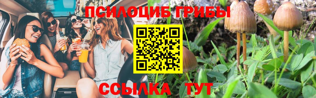 Псилоцибиновые грибы мухоморы Череповец