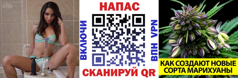 Бошки Шишки сатива Череповец
